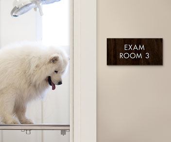 An exam room number sign with a large white happy dog on the table inside the door